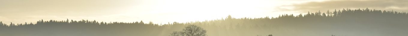L'ÉCRITOILE DES AUTEURPRENEURS *WRITESTARS*